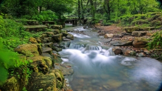 讓天更藍，水更清——浙江扎實(shí)做好中央生態(tài)環(huán)保督察整改綜述