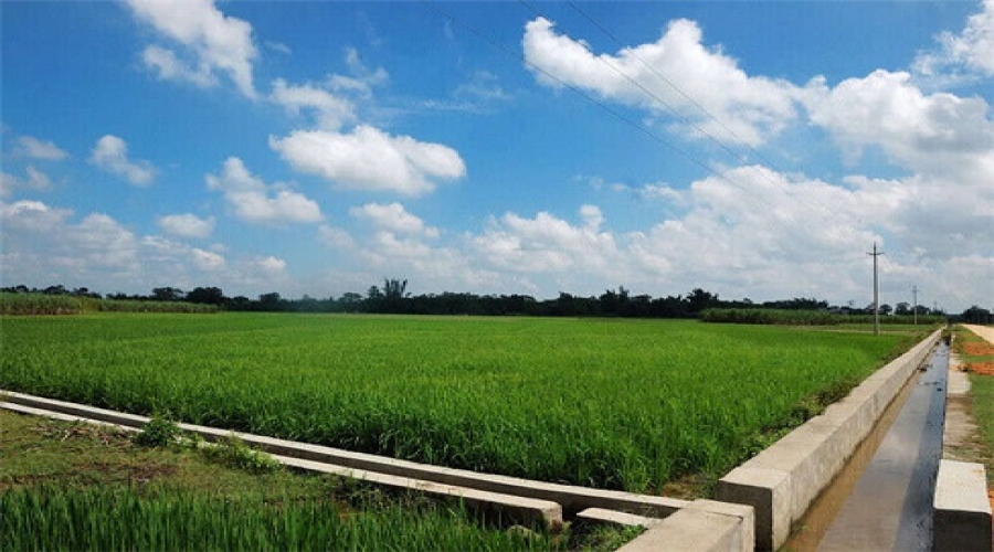 樂(lè )清市墾造水田工程（二期）